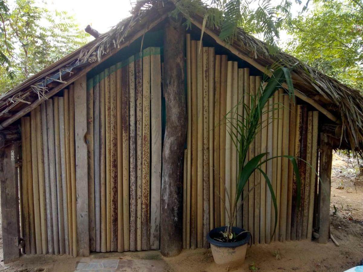 Refugio Raiz Camping Carolina  Exterior photo